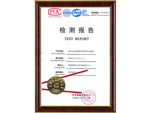 HXGN15-12/125-31.5 檢驗(yàn)報(bào)告 HXGN15-12/125-31.5 檢驗(yàn)報(bào)告
